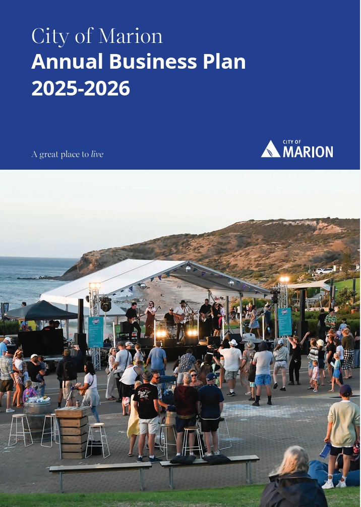 Annual Business Plan 2025-2026